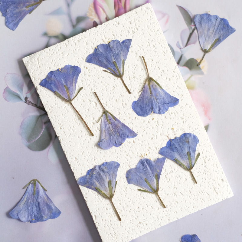 Beauty Makeup Bridal - 12 Stück/3-5cm, Natürliche Blaue Glockenblumen, Geprägte