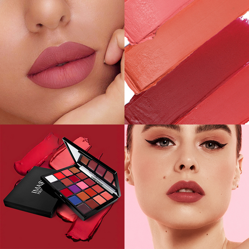 IMAGIC 20-Farben-Lippenstift-P – Beauty Makeup Palette Bewertung und Preis