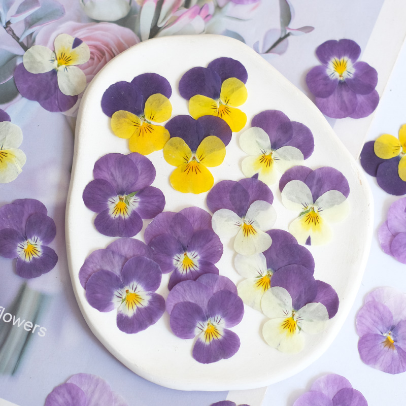 12 Stück, Natur Stiefmütterche – Beauty Makeup Bridal Bewertung und Preis